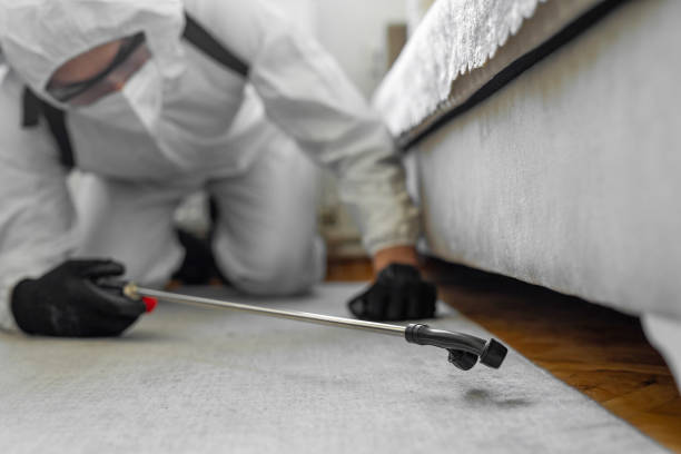 Professional Bed Bug Control technician working in Osceola, MO